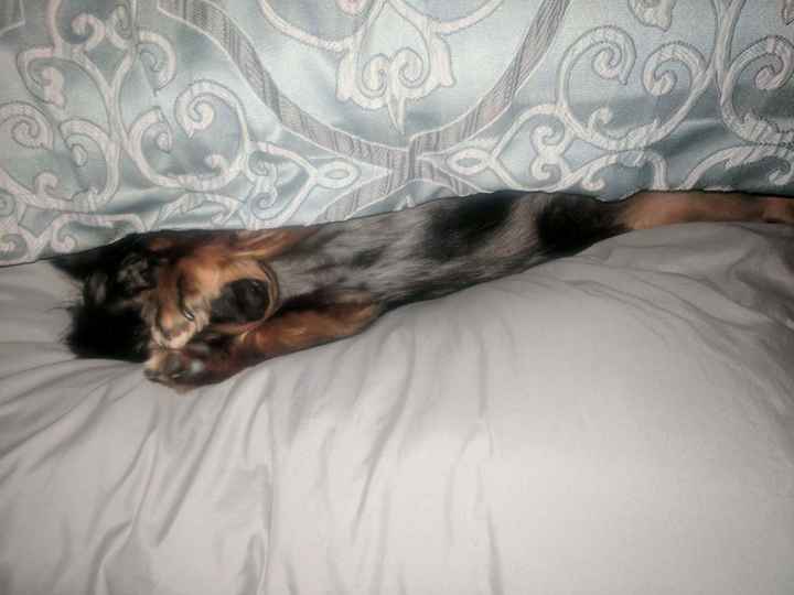 KWR-sharing some cuteness today.