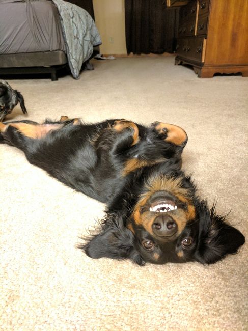 NWR: Show me your pups!