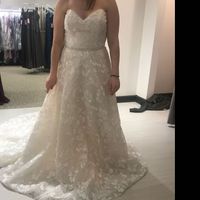 Dress size 14 - Street Size 12. Dress pics?? - 1