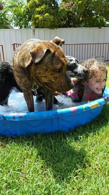 NWR Animal Lovers