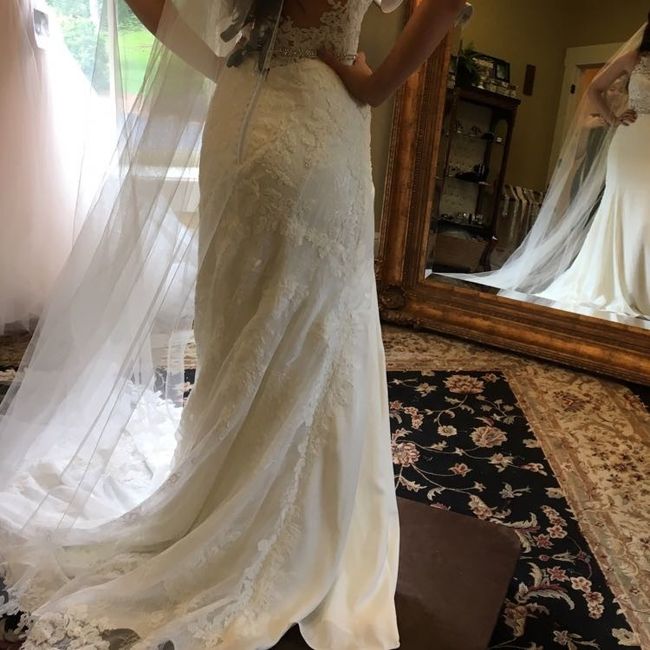 Dress: GOT IT! (PIC HEAVY)