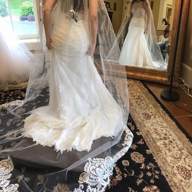 Dress: GOT IT! (PIC HEAVY)