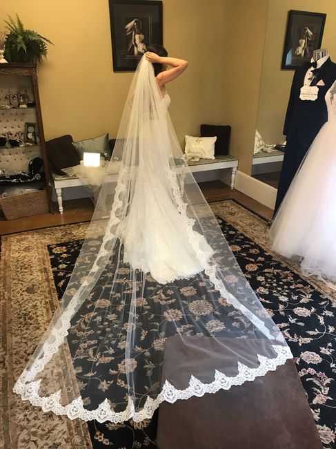 Dress: GOT IT! (PIC HEAVY)