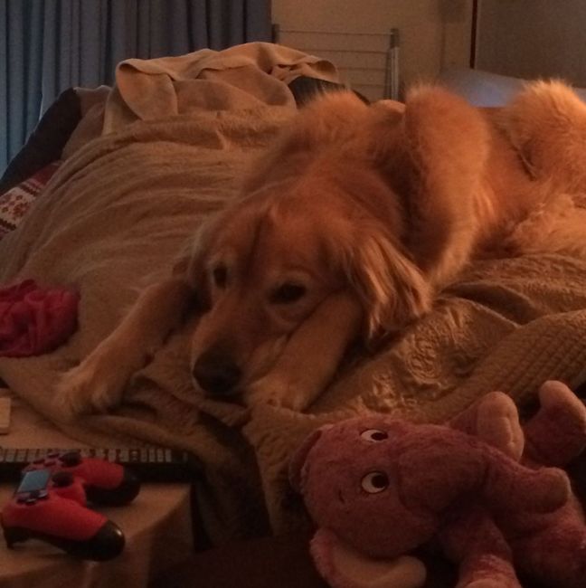 NWR: Show me your pups!