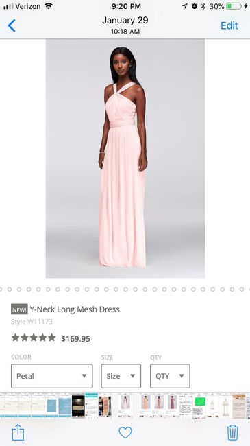 Help . . . Bridesmaid dress problem - 1