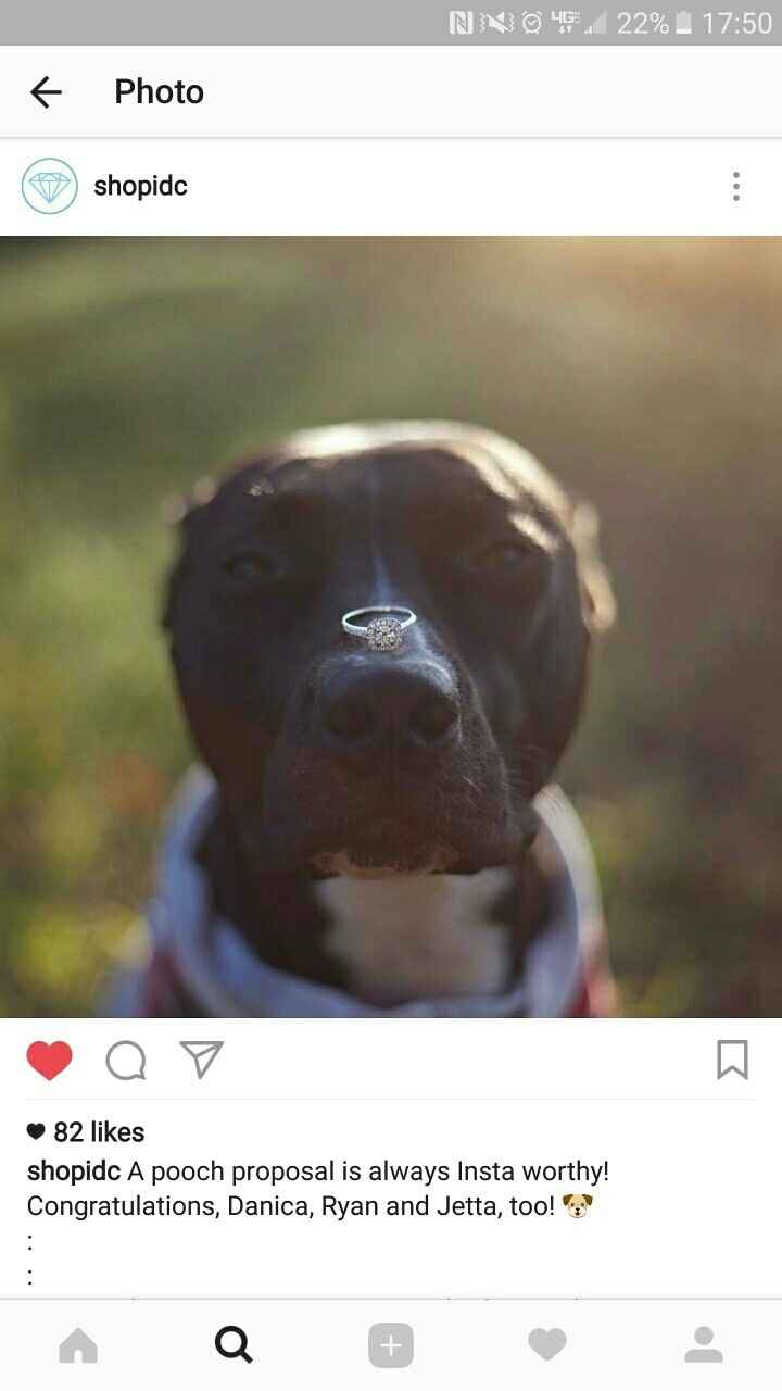 Engagement Photo Props??