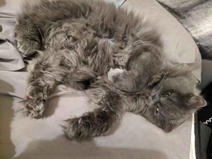 Post a pic of something that makes you happy!