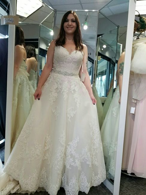 I got my dress!