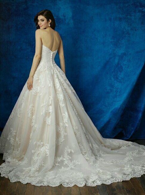 I got my dress!