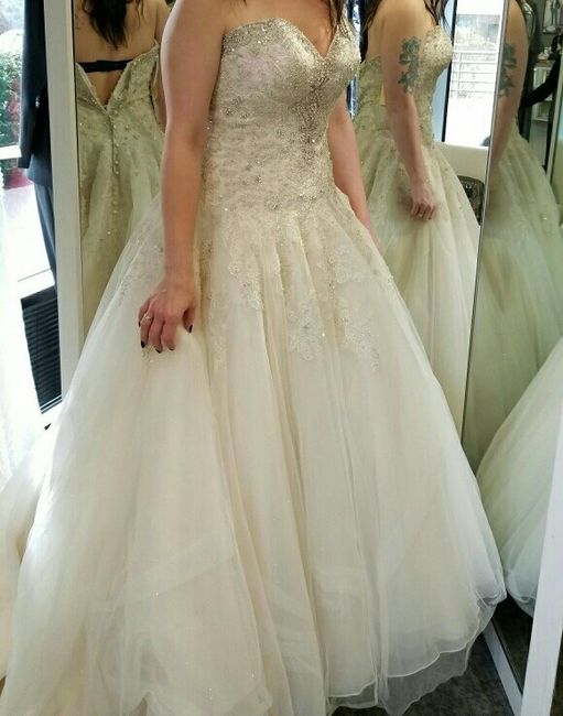 I got my dress!