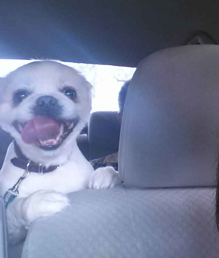 Just for fun, lets see your crazy pet child....