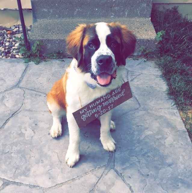 Nwr: my pup