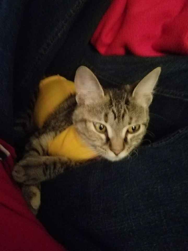 NWR: Adding New Member To Family (Furbaby)!!