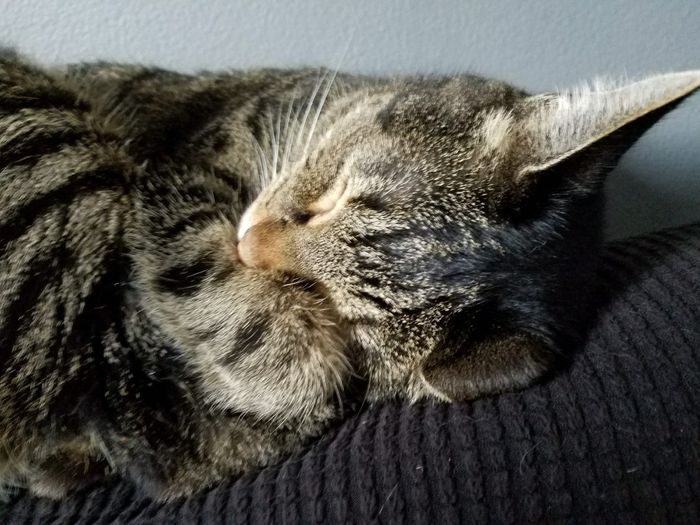 NWR: Today freaking sucks.