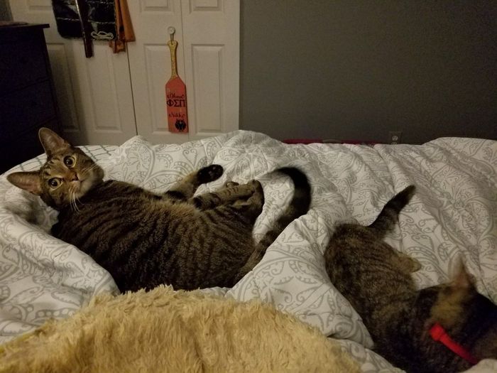 NWR snuggly Sundays!