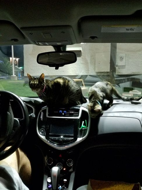 NWR: Furbaby!