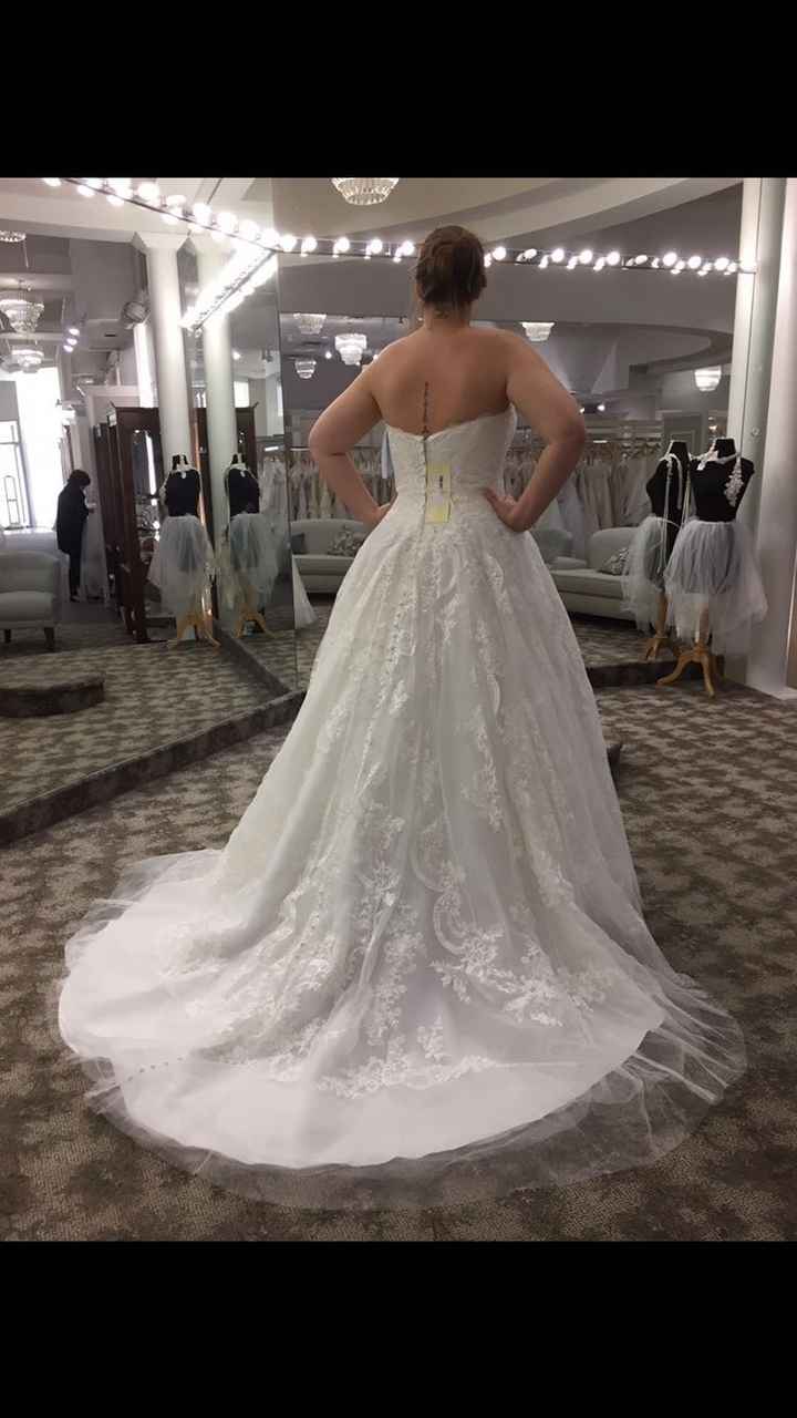 Veil or no veil?