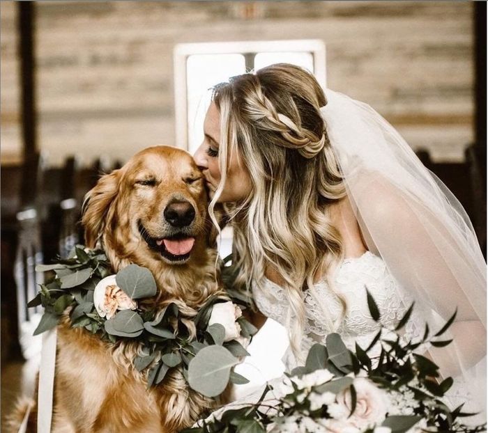 Puppy Love