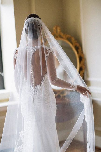 Open back dress with veil