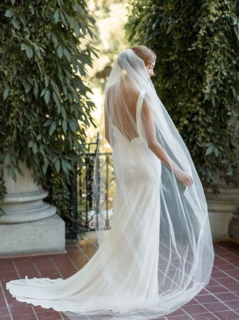 Open back dress with veil