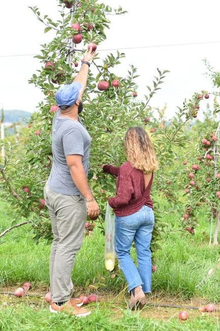 Outfit Ideas for a Orchard/u-pick Engagement Photo Shoot 2