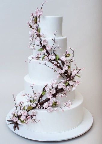 cherry blossom cake 
