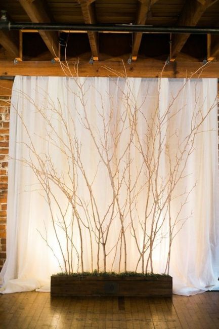 Pipe and Drape Alternative 4