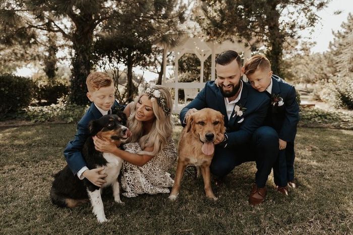 family on wedding day with dogs