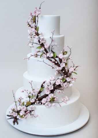 cherry blossom cake 