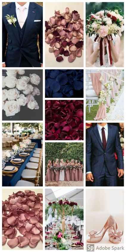 color scheme