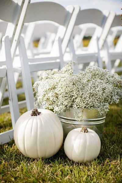 pumpkin decor