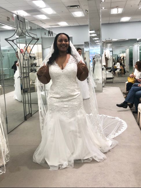 Plus Size dress tips needed 2