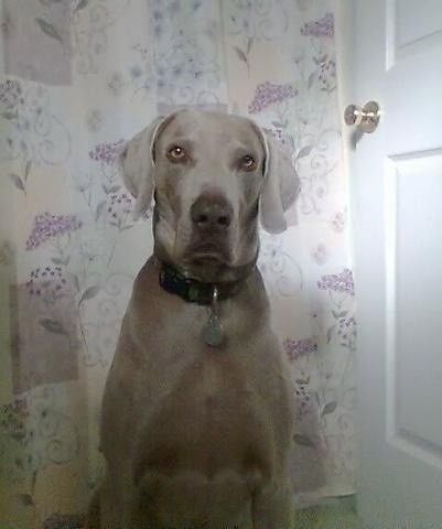 NWR - Furbaby Friday