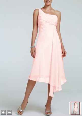 Anyone using David's Bridal For Their Maids,which dress did you pick?