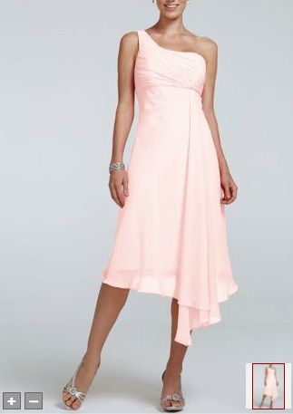 Anyone using David's Bridal For Their Maids,which dress did you pick?