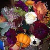 I am officially BAM!!! *UPDATED PHOTOS PG 2*