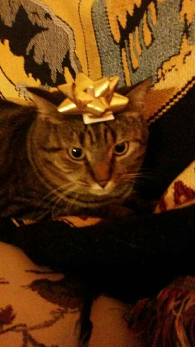 KWR-sharing some cuteness today.