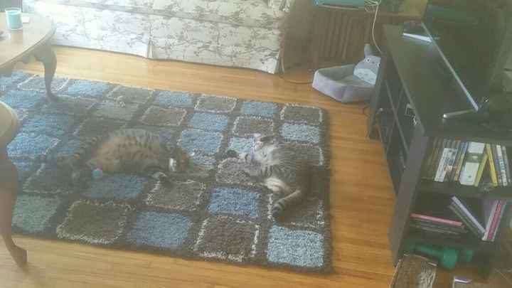 NWR today has been literal shit