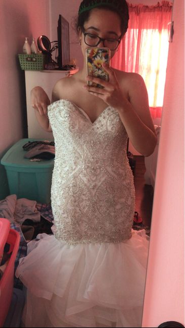 Wedding Dress Budget 8