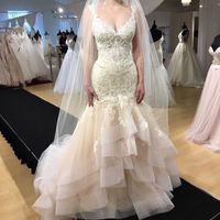 Blush Wedding Dresses