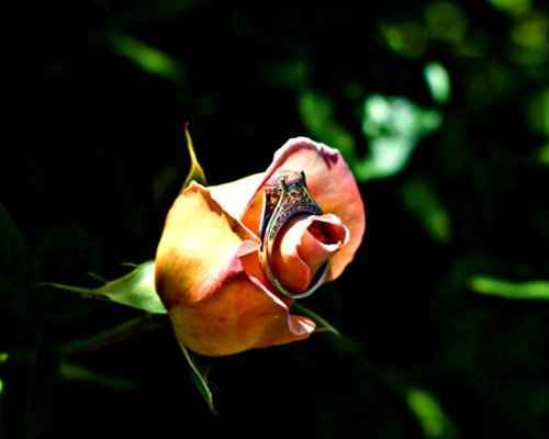 E-Pics (actually pictures) need advice