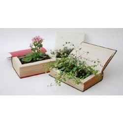 My reception venue and centerpiece idea *Pics