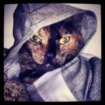 Doggy Halloween Costume!