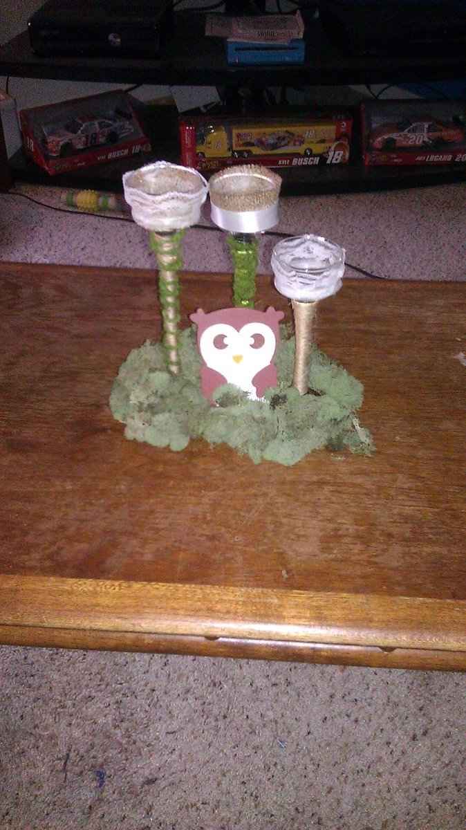 My DIY Rustic centerpieces (with pictures) opinions please.