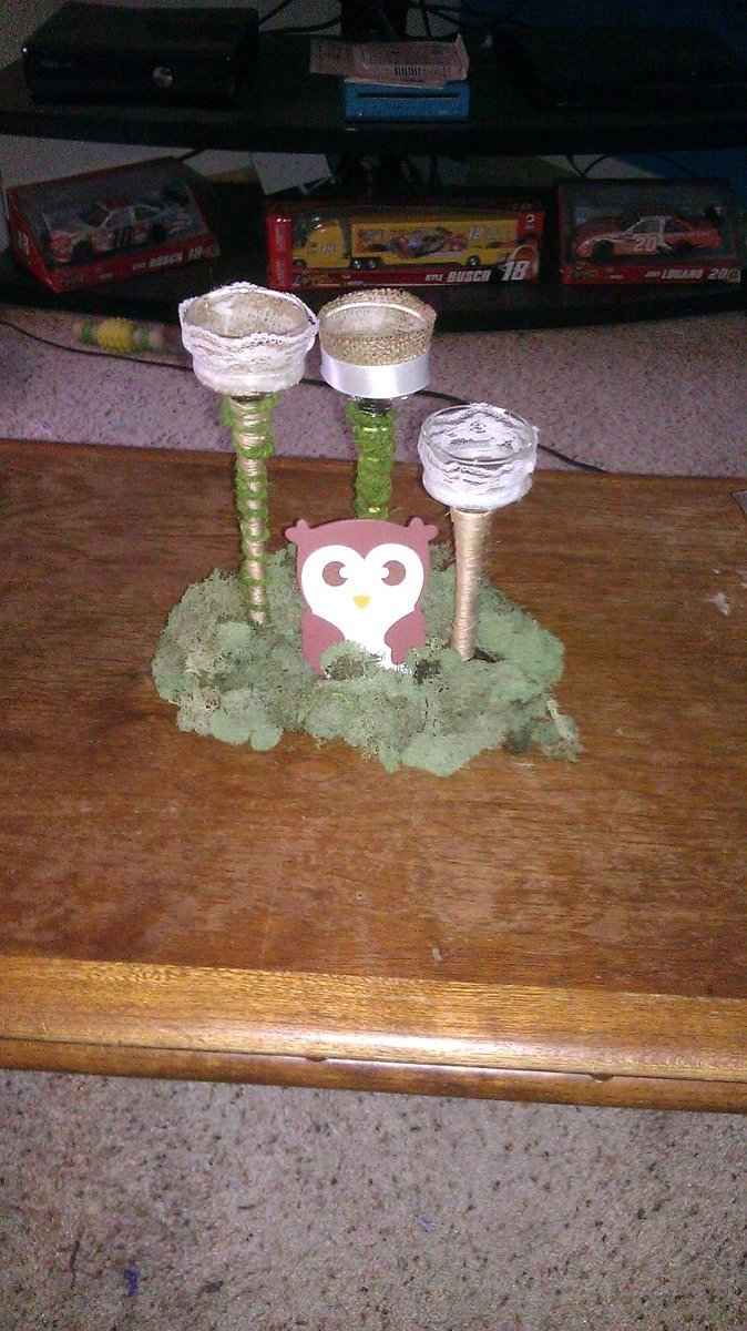 My DIY Rustic centerpieces (with pictures) opinions please.