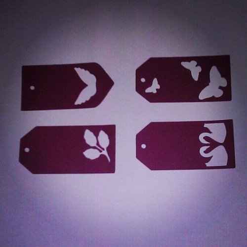 Which one? Need helping picking escort cards please!!