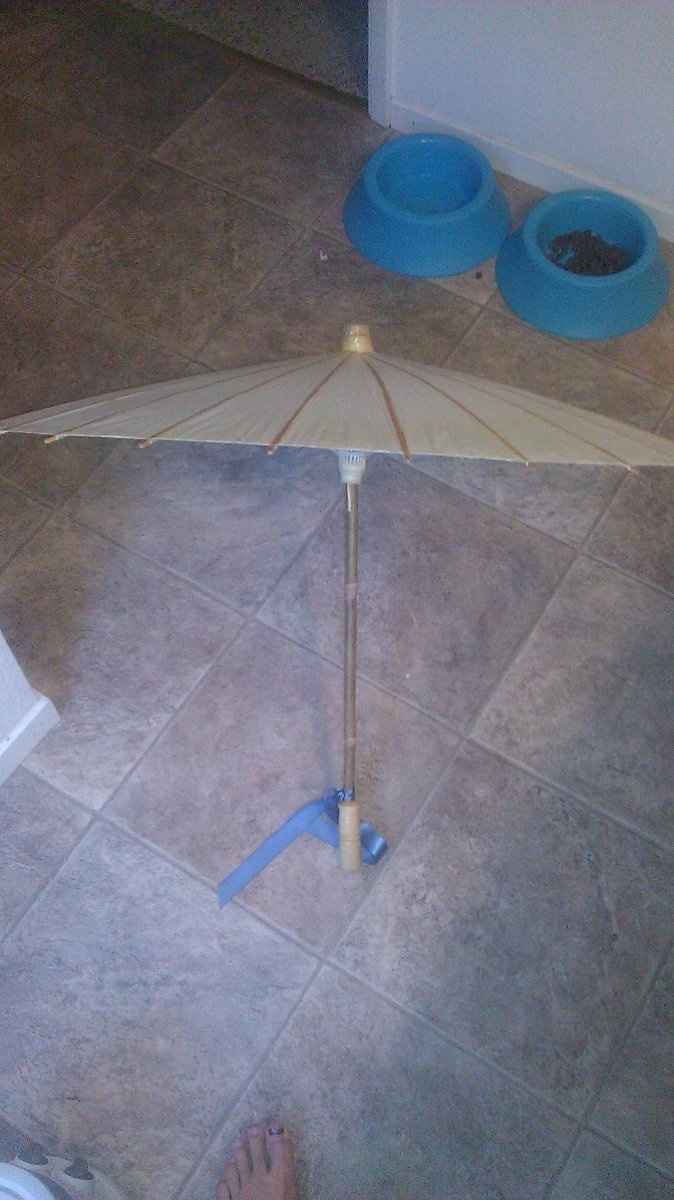 PIF anyone having a Zen or Asian style wedding???