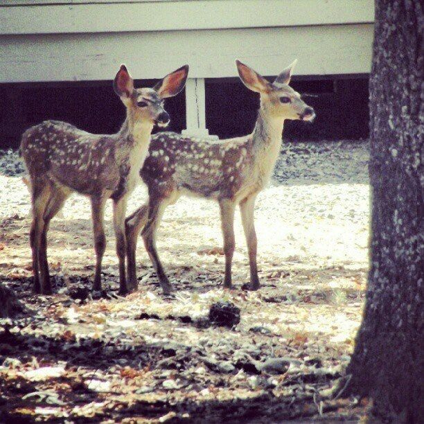 NWR - What's outside ?????
