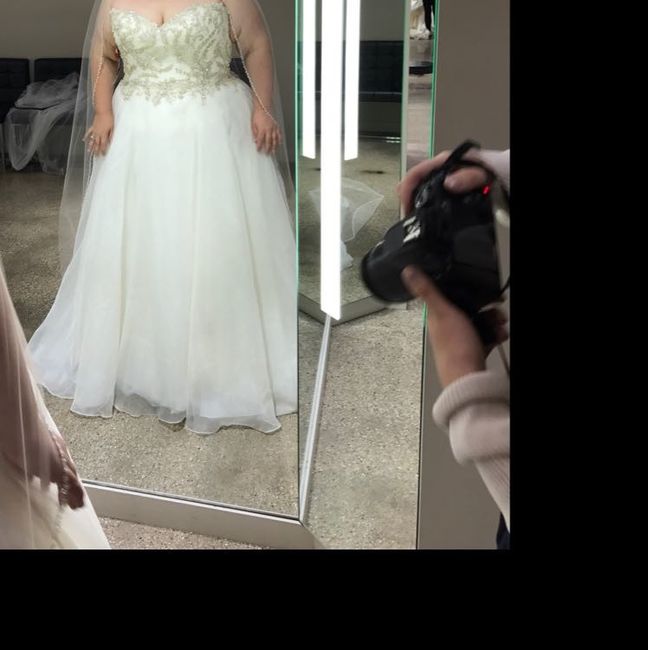 Let me see those ball gowns!
