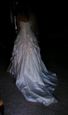 My wedding dress is in!....AND Paid For! *pix*